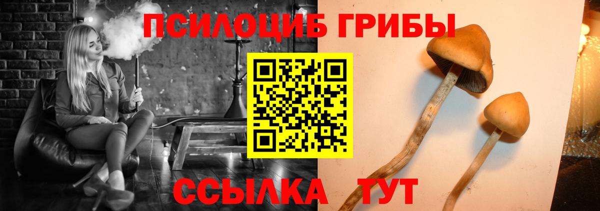 цены наркотик  Вход с VPN  Ртищево  Псилоцибиновые грибы мухоморы 